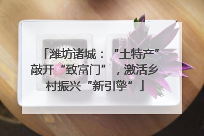 潍坊诸城：“土特产”敲开“致富门”，激活乡村振兴“新引擎”